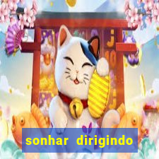 sonhar dirigindo carro jogo do bicho